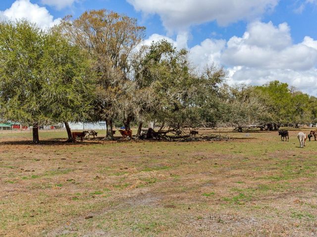 0 S CR 39, Lithia, FL 33547