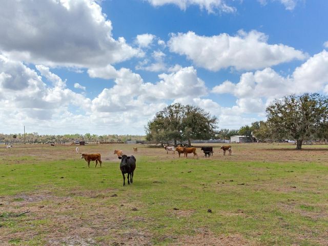 0 S CR 39, Lithia, FL 33547