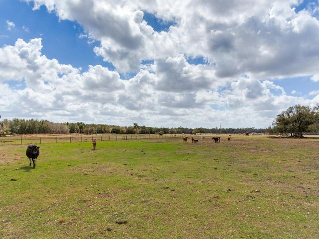 0 S CR 39, Lithia, FL 33547