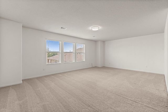 16859 Blackberry Lily Lane, Conroe, TX 77385