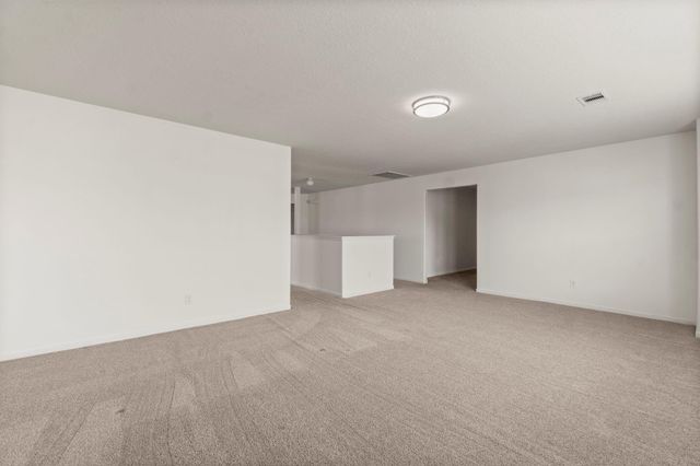 16859 Blackberry Lily Lane, Conroe, TX 77385