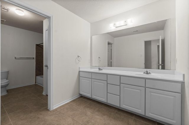 16859 Blackberry Lily Lane, Conroe, TX 77385