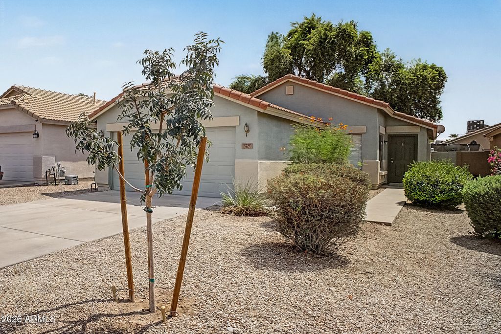 967 E MONTELEONE Street, San Tan Valley, AZ 85140 — photo 4