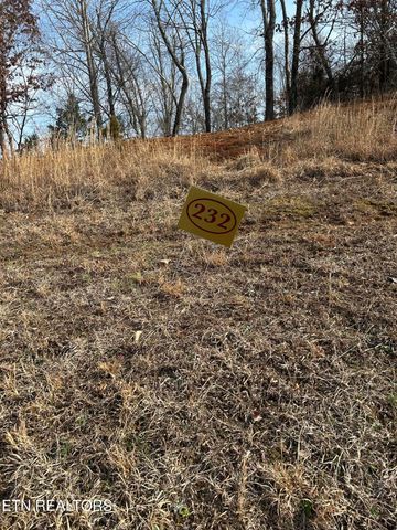 Lot 232 Star Lane, Rockwood, TN 37854