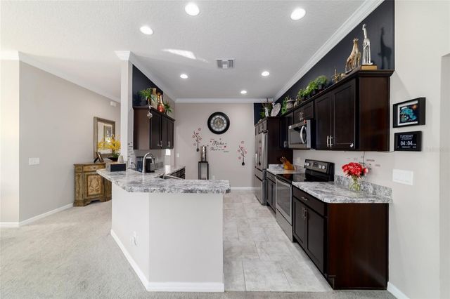 1194 MCDONOUGH PLACE, The Villages, FL 32163