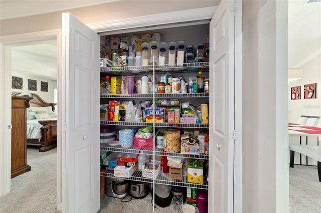 1194 MCDONOUGH PLACE, The Villages, FL 32163