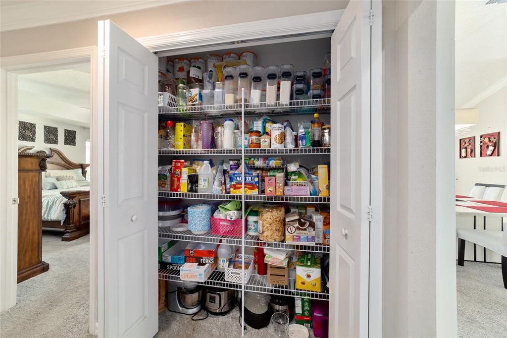 Image 25 of property listing at 1194 MCDONOUGH PLACE, The Villages, FL 32163