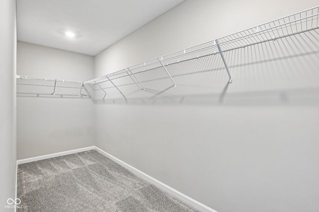 527 Buckthorn, Sheridan, IN 46069
