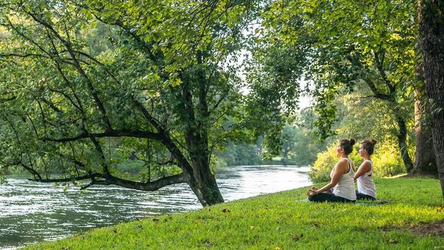 120 Hardwood Court, Mineral Bluff, GA 30559