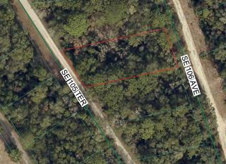 SE 105 TH TERRACE, Ocklawaha, FL 32179