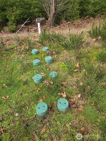 1801 E Crestview Drive, Shelton, WA 98584