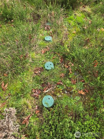 1801 E Crestview Drive, Shelton, WA 98584