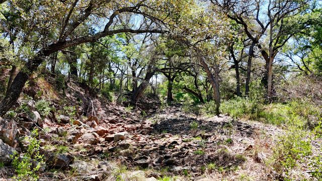 TBD FM 2233, Llano, TX 78643