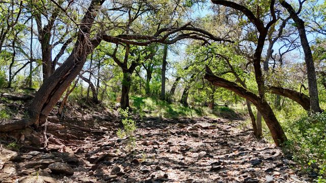 TBD FM 2233, Llano, TX 78643