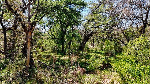 TBD FM 2233, Llano, TX 78643