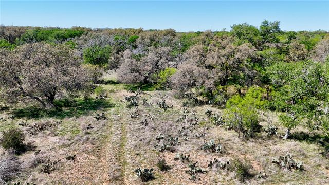 TBD FM 2233, Llano, TX 78643