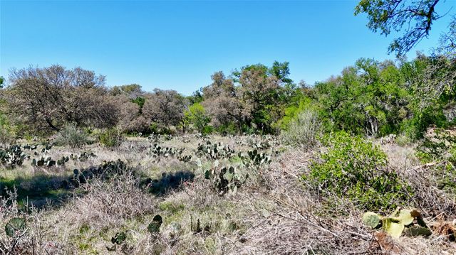 TBD FM 2233, Llano, TX 78643