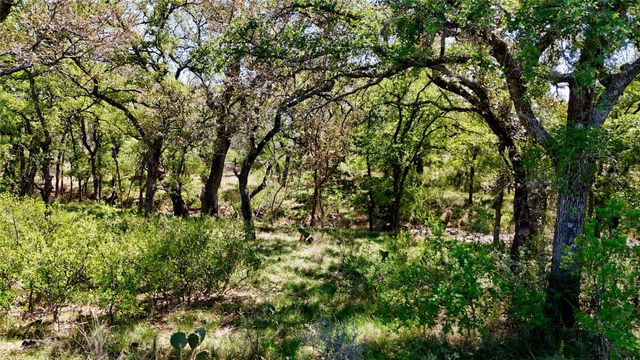 TBD FM 2233, Llano, TX 78643