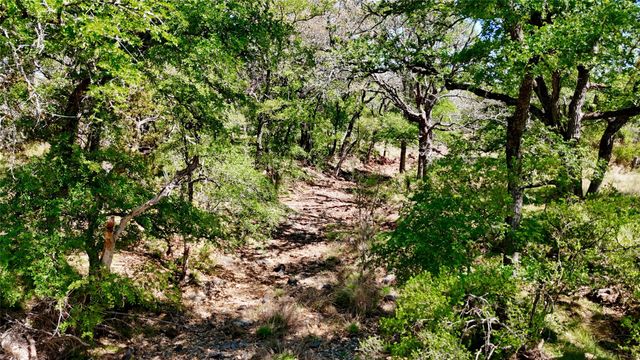 TBD FM 2233, Llano, TX 78643