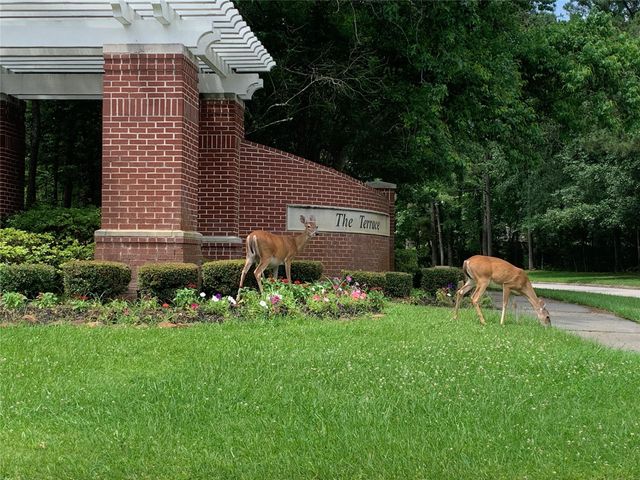 5911 Piney Birch Court, Houston, TX 77345