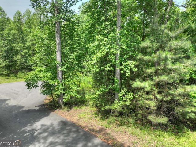 LOT 132 Fox Cove Road 132, Blairsville, GA 30512