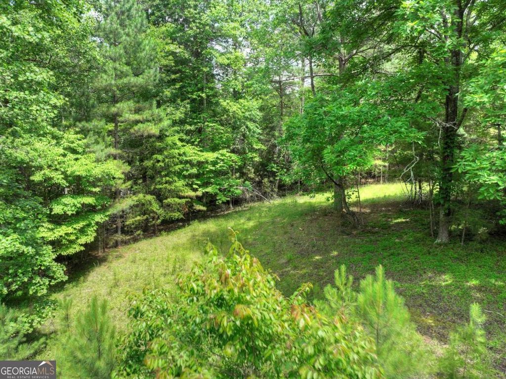 LOT 132 Fox Cove Road 132, Blairsville, GA 30512