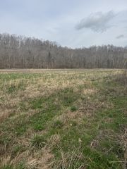 1234 Puncheon Creek Road, Lafayette, TN 37083