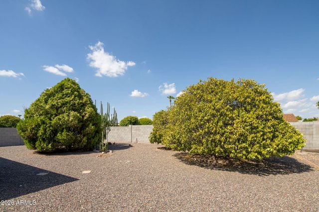 9213 W BRIARWOOD Circle N, Sun City, AZ 85351