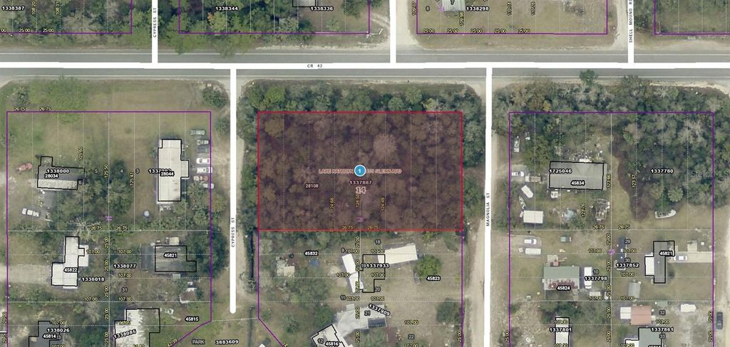 28108 COUNTY ROAD 42, Paisley, FL 32767