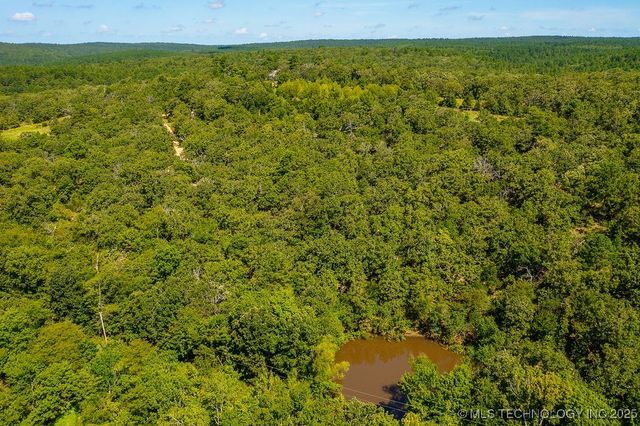 13503 E Hwy 43 Street, Stringtown, OK 74569