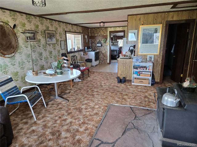 586 Cuesta Drive, Cotopaxi, CO 81223