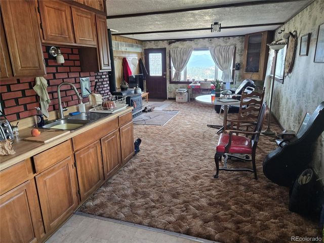 586 Cuesta Drive, Cotopaxi, CO 81223