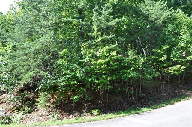 8261 Cox Mountain Drive, Big Canoe, GA 30143