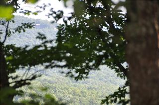 8261 Cox Mountain Drive, Big Canoe, GA 30143