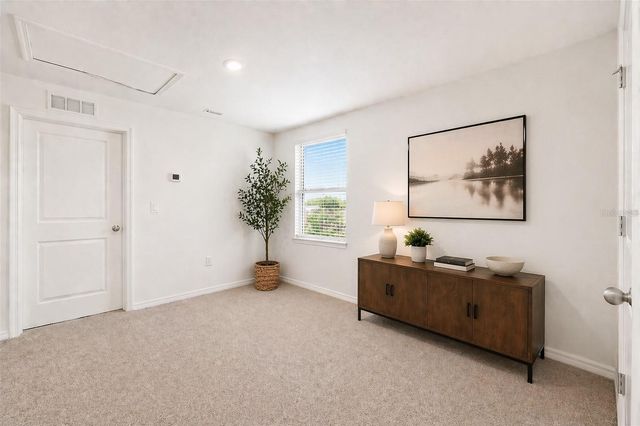 12169 DOWNY BIRCH DRIVE, Riverview, FL 33569