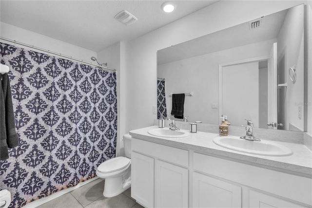 12169 DOWNY BIRCH DRIVE, Riverview, FL 33569