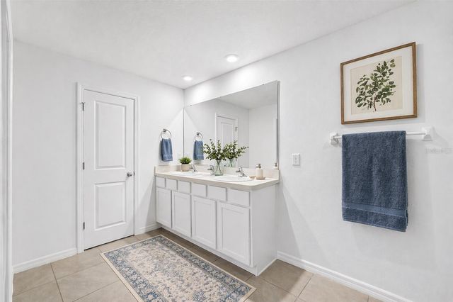 12169 DOWNY BIRCH DRIVE, Riverview, FL 33569