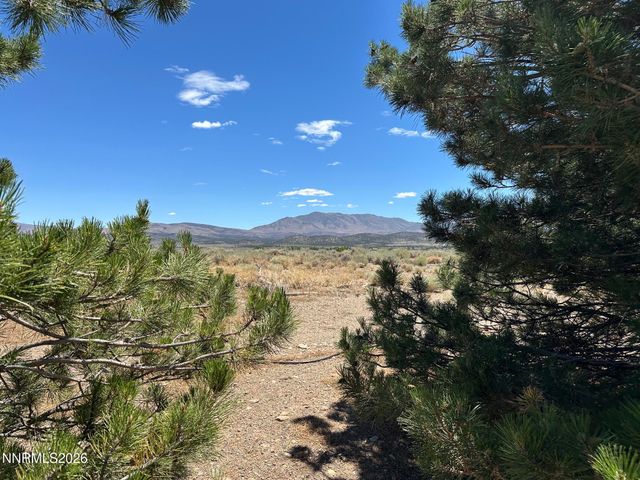 1515 Patrick Court, Gardnerville, NV 89410