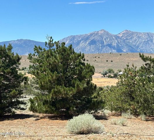 1515 Patrick Court, Gardnerville, NV 89410