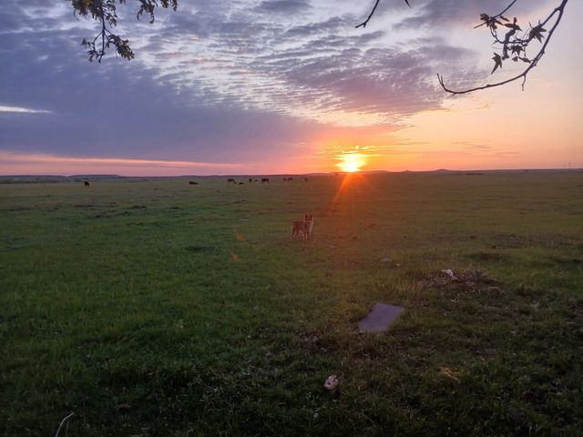 4820 Highway 16 N, Graham, TX 76450