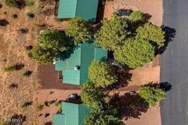 2670 Lodge Loop, Overgaard, AZ 85933