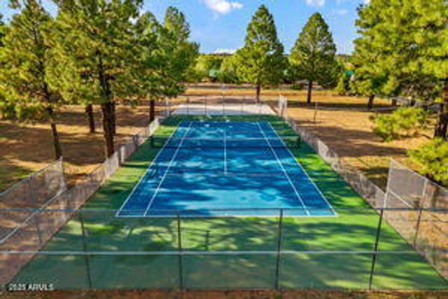 2670 Lodge Loop, Overgaard, AZ 85933