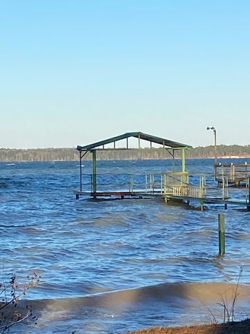 1008 Lakeshore Dr, Abbeville, AL 36310