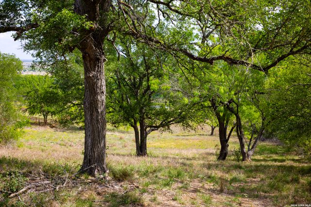 12017 FM 20, Kingsbury, TX 78638