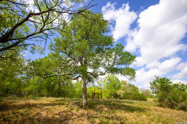 12017 FM 20, Kingsbury, TX 78638