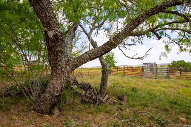 12017 FM 20, Kingsbury, TX 78638