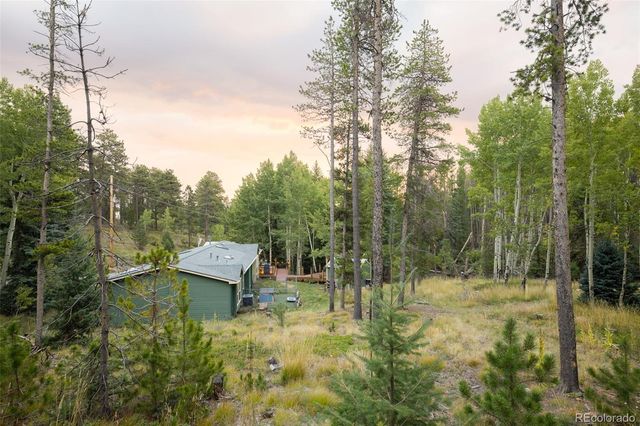 8481 S Warhawk Road, Conifer, CO 80433