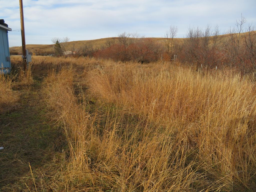 259 Stevens ST, Harlem, MT 59526 photo 6