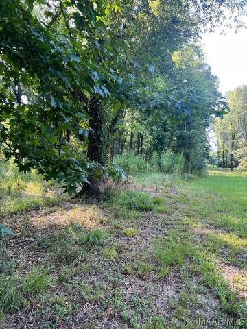 1506 Barganier Road, Cecil, AL 36013