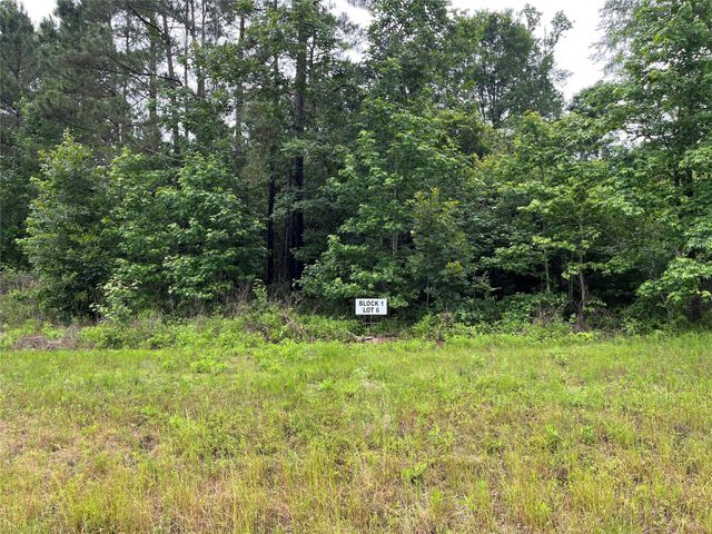 15841 Ridge Rock Road, Willis, TX 77378